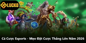 Cá Cược Esports - Mẹo Đặt Cược Thắng Lớn Năm 2026