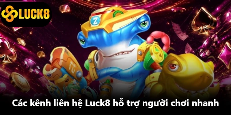 Các kênh liên hệ Luck8 hỗ trợ người chơi nhanh Các kênh liên hệ Luck8 hỗ trợ người chơi nhanh