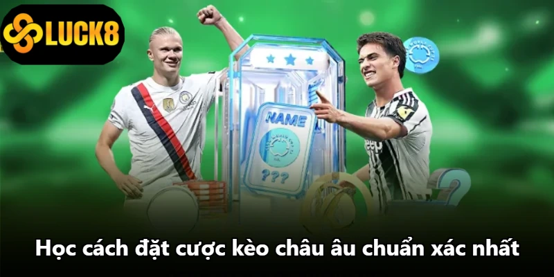 Học cách đặt cược kèo châu âu chuẩn xác nhất Học cách đặt cược kèo châu âu chuẩn xác nhất